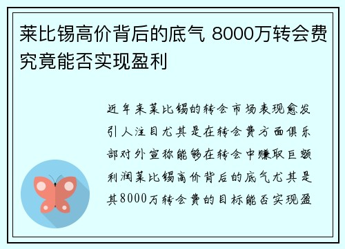 莱比锡高价背后的底气 8000万转会费究竟能否实现盈利